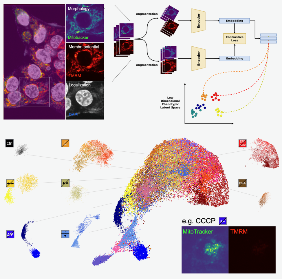 Computation Research