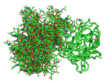 Molecular Biophysics
