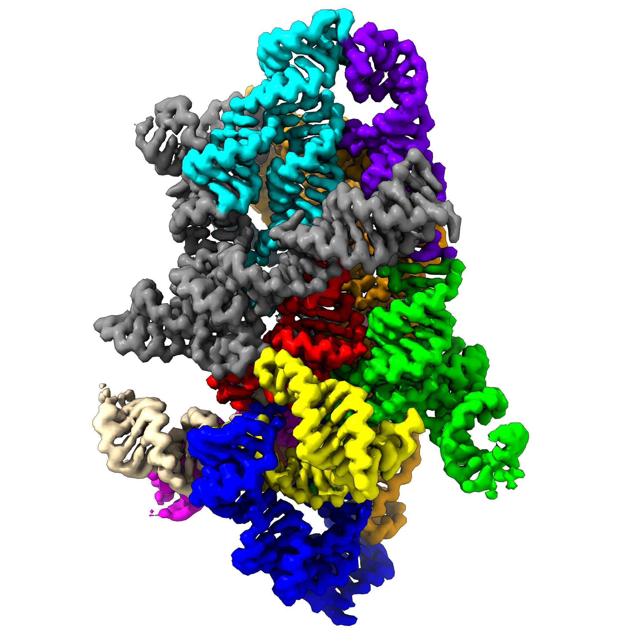 RNA Rendering